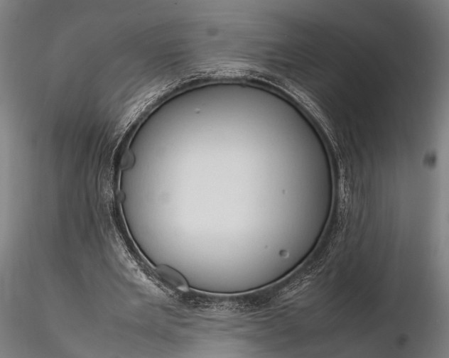 X0000116310485200912141402