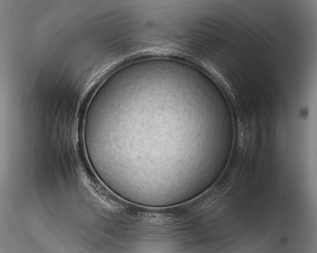 X0000116310486200912141402