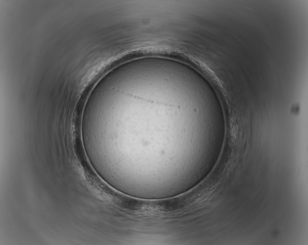 X0000116310487200912141402