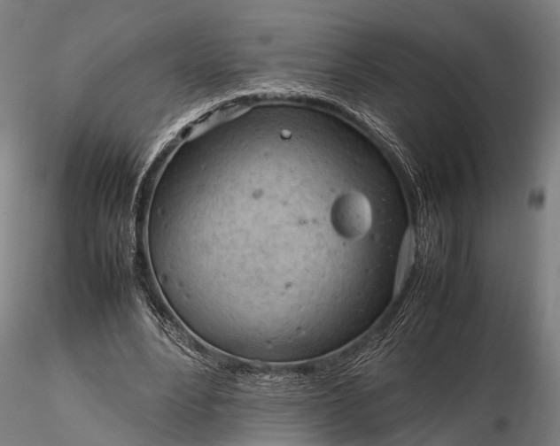 X0000116310488200912141402