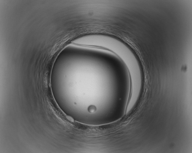 X0000116310489200912141402