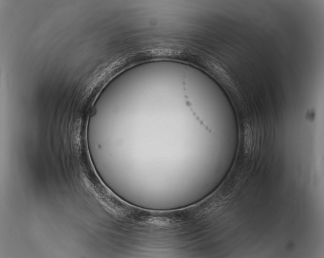 X0000116310490200912141402