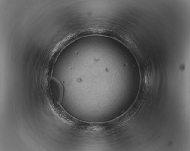 X0000116310492200912141402