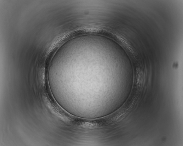 X0000116310494200912141402