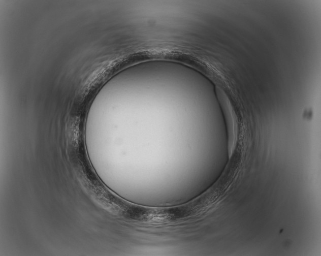 X0000116310495200912141402