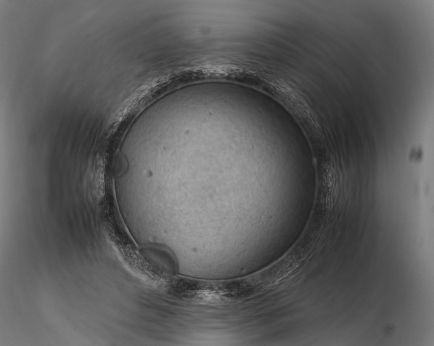 X0000116310496200912141402