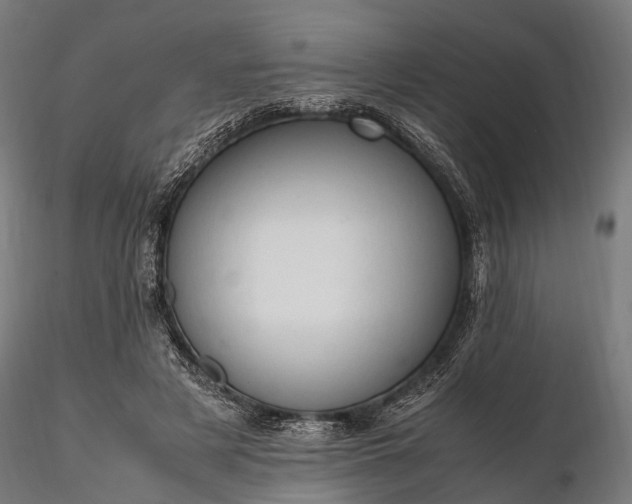 X0000116310497200912141402