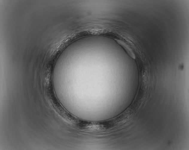 X0000116310499200912141402