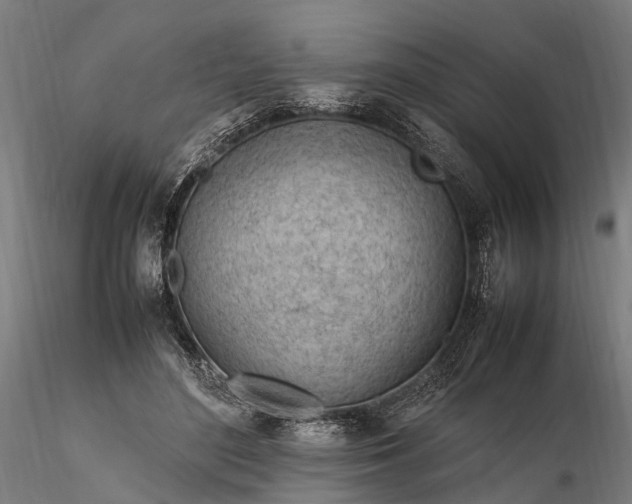 X0000116310500200912141402