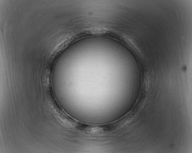 X0000116310501200912141402