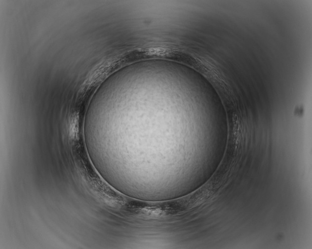 X0000116310502200912141402