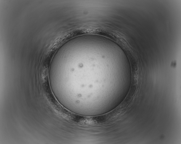 X0000116310503200912141402