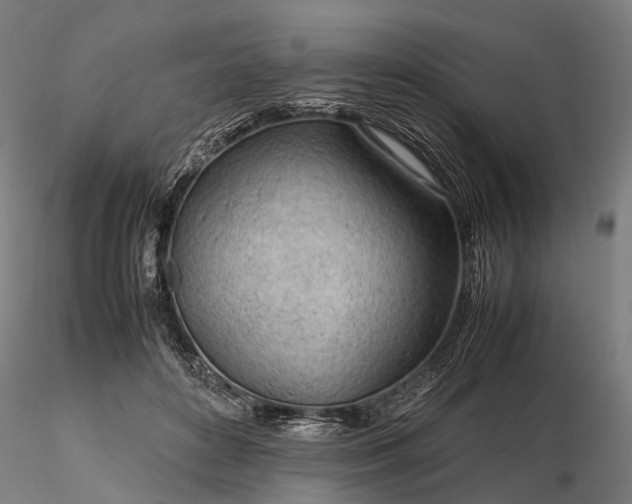 X0000116310504200912141402