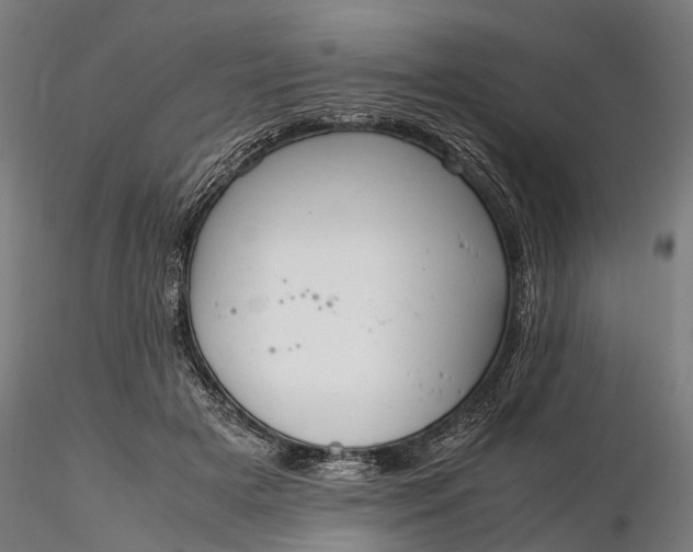 X0000116310505200912141402