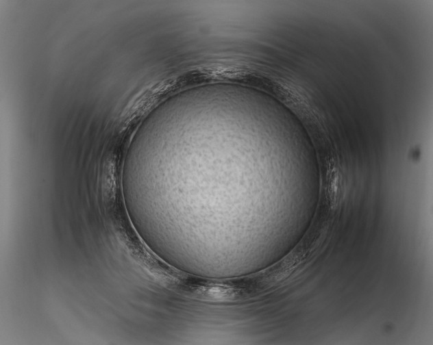 X0000116310506200912141402