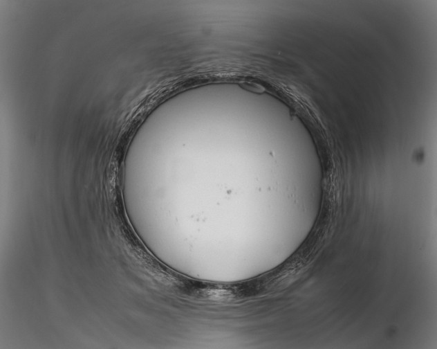 X0000116310509200912141402