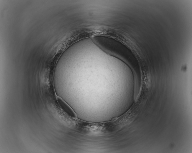 X0000116310512200912141402