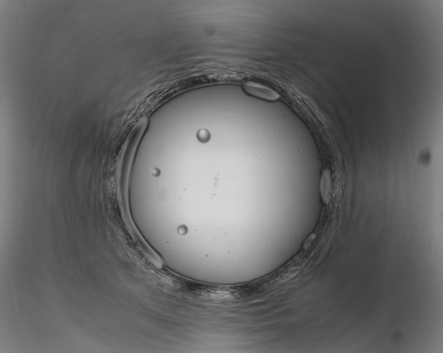 X0000116310513200912141402