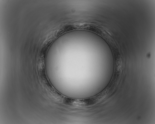 X0000116310515200912141402