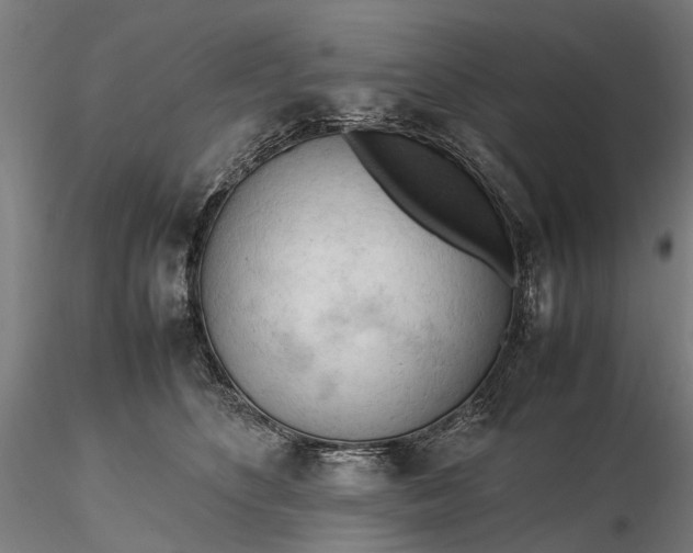 X0000116310516200912141402