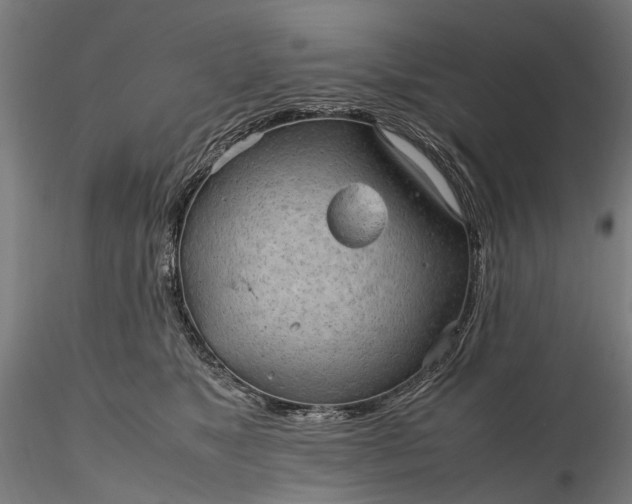 X0000116310517200912141402