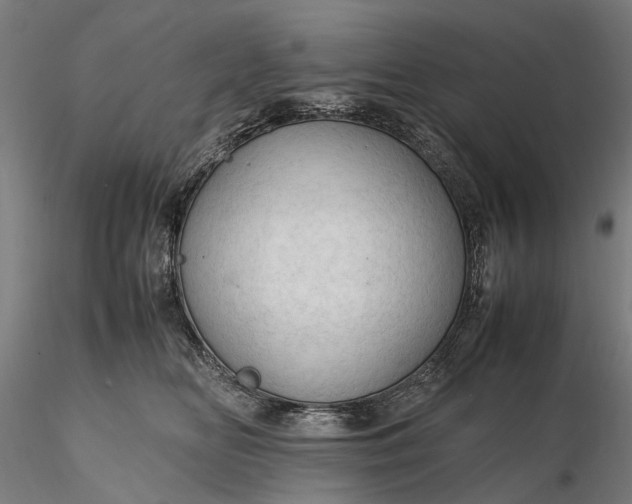 X0000116310518200912141402