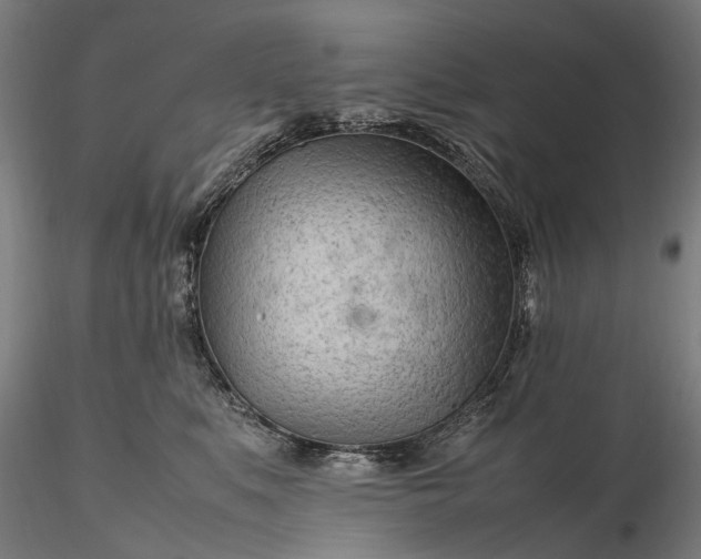 X0000116310519200912141402