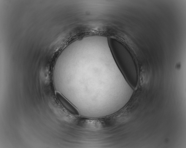 X0000116310520200912141402