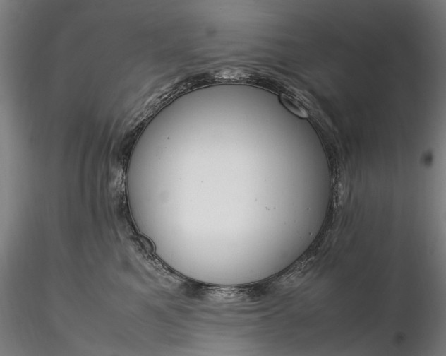 X0000116310521200912141402