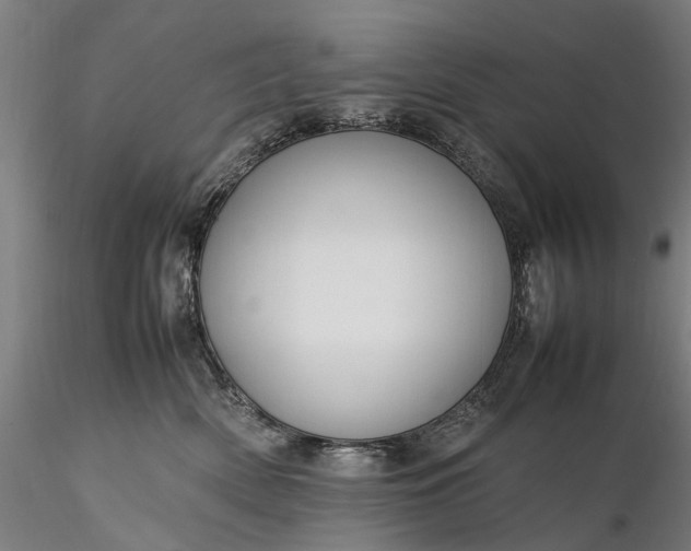 X0000116310522200912141402