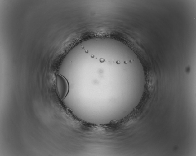 X0000116310523200912141402