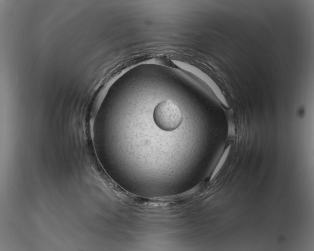 X0000116310524200912141402