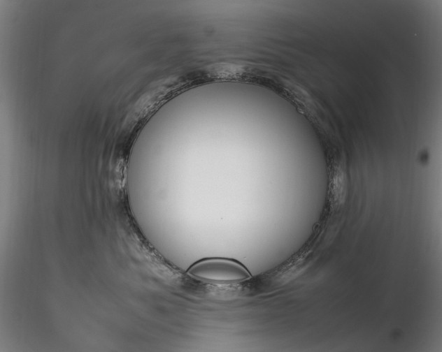 X0000116310525200912141402