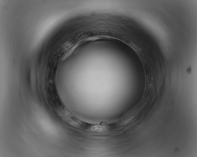 X0000116310526200912141402