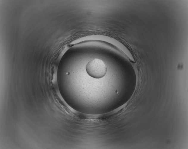 X0000116310528200912141402