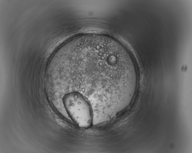 X0000116310529200912141401