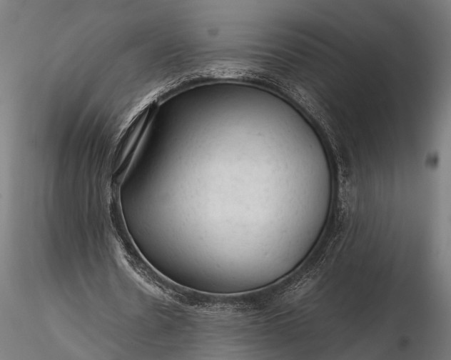 X0000116310530200912141401