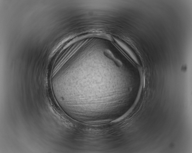 X0000116310531200912141401