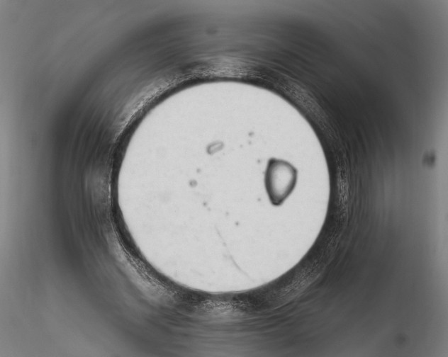 X0000116310534200912141401