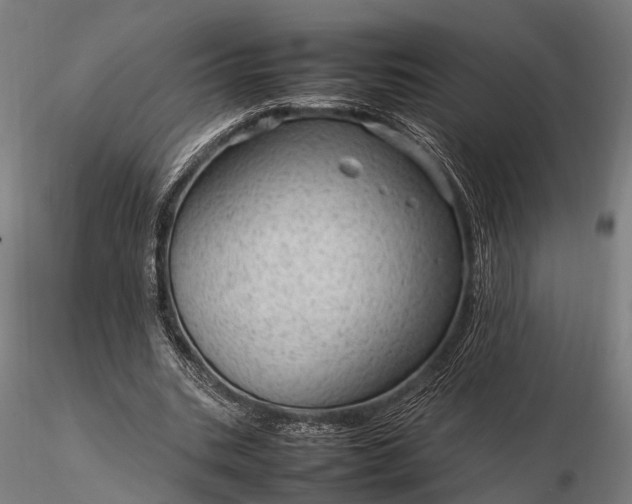 X0000116310535200912141401