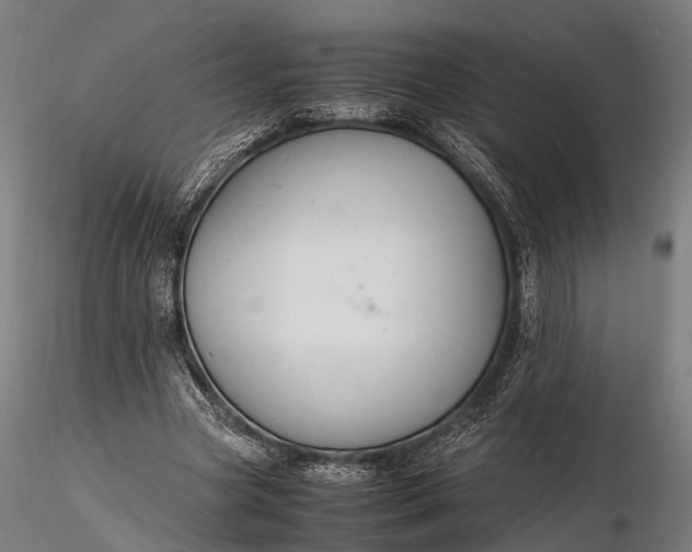 X0000116310537200912141401