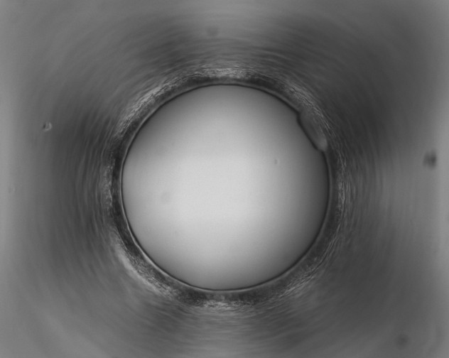 X0000116310538200912141401