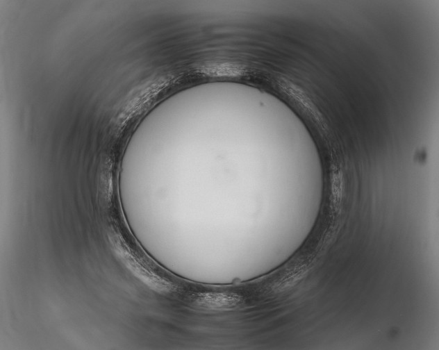 X0000116310541200912141401