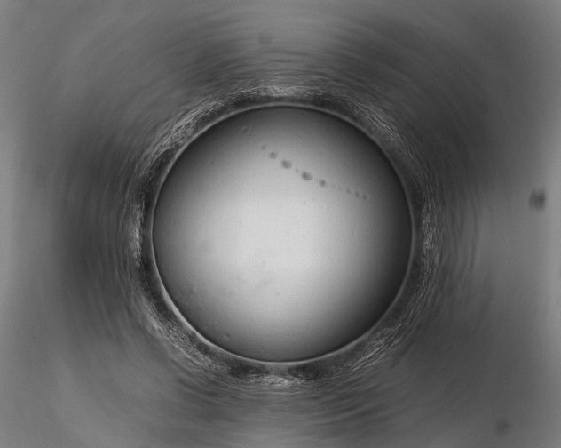 X0000116310542200912141401