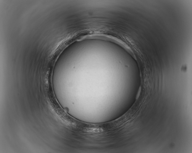 X0000116310543200912141401