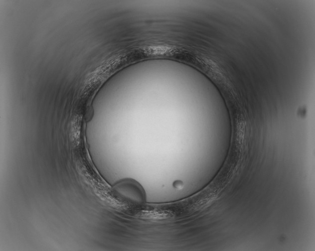 X0000116310545200912141401