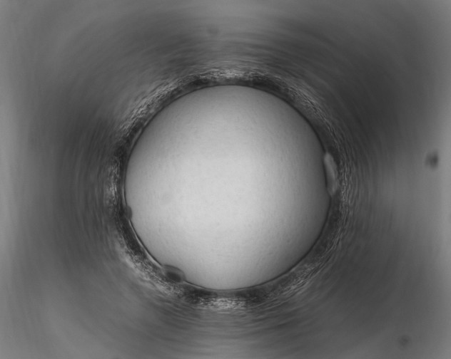 X0000116310546200912141401