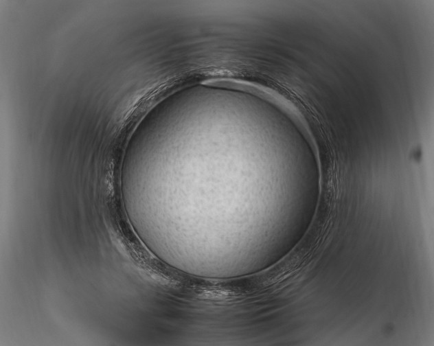 X0000116310547200912141401