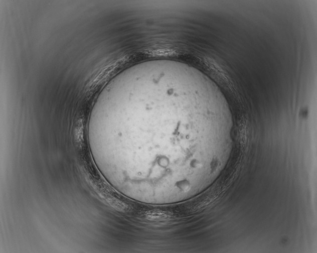 X0000116310549200912141401