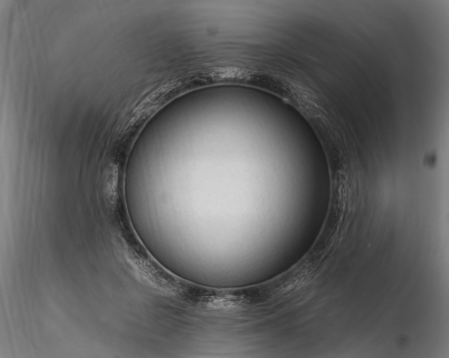 X0000116310550200912141401